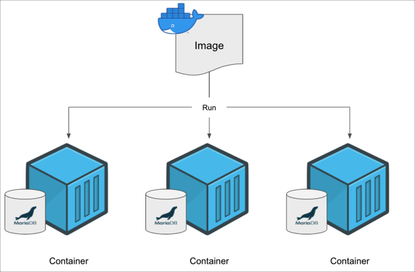 Docker image running multiple MariaDB containers