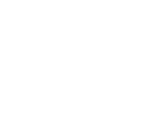 MariaDB official logo: white vertical png