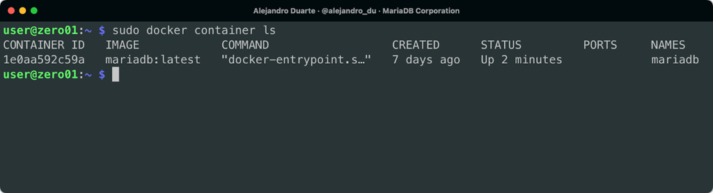 MariaDB server running on a Docker container